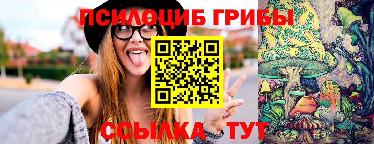 Псилоцибиновые грибы MAGIC MUSHROOMS  Вход с VPN  Элиста 