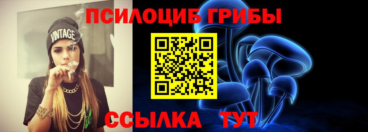 Псилоцибиновые грибы Psilocybine cubensis Элиста